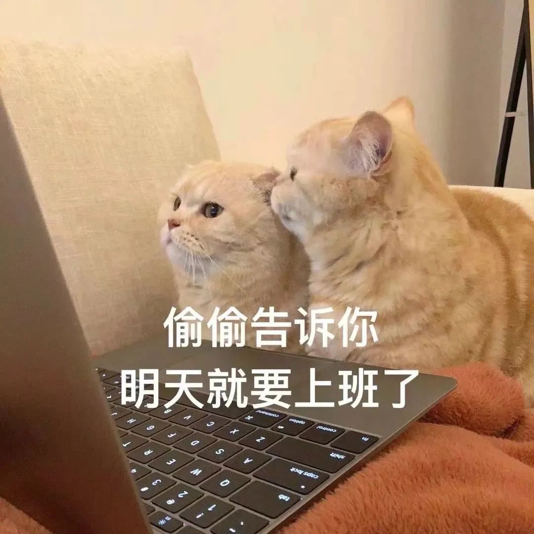 刚刚走出校门的应届生求职